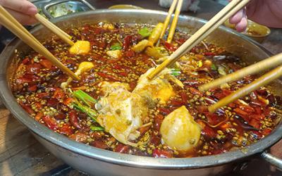 成都火鍋美蛙魚哪裏教學好？學習美蛙魚要多久